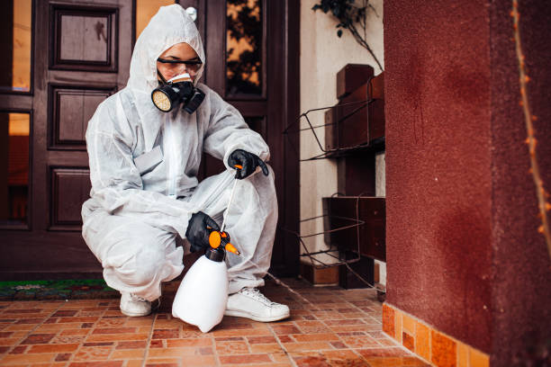 Reliable Wasp Removal contractor in East Rochester, NY by Show Me Pest Control